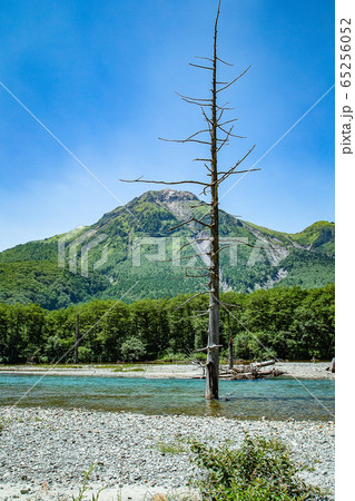 上高地・中千丈沢(長野県) 上高地・中千丈沢(長野県) 65256052
