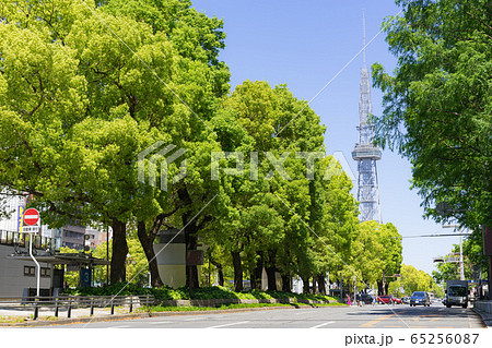 名古屋市中区・栄　都市風景　新緑の久屋大通と中部電力 MIRAI TOWER 65256087