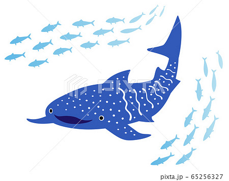 ジンベエザメと魚の群れのイラストのイラスト素材