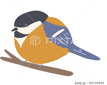 木の枝にとまるヤマガラ 65256605
