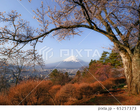 シークレットスポットから撮った朝の富士山 65257373