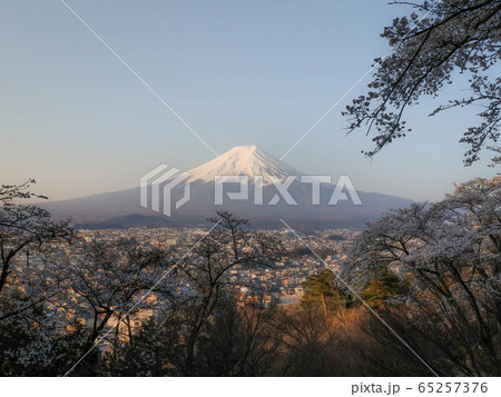 シークレットスポットから撮った朝の富士山 65257376