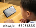 スマホを観る幼児 65258335