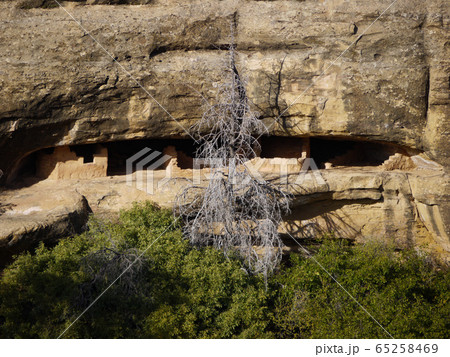 メサベルデ メサベルデ 65258469