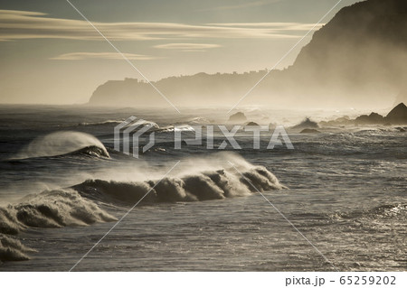 PORTUGAL MADEIRA PORTO MONIZ COAST PORTUGAL MADEIRA PORTO MONIZ COAST 65259202