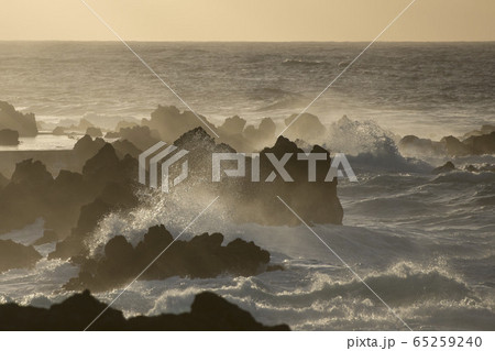 PORTUGAL MADEIRA PORTO MONIZ COAST 65259240