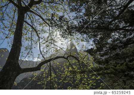 PORTUGAL MADEIRA SERRA DE AGUA LANDSCAPE 65259245
