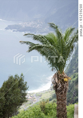 PORTUGAL MADEIRA RIBEIRA DA JANELA 65259280