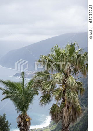 PORTUGAL MADEIRA RIBEIRA DA JANELA 65259281