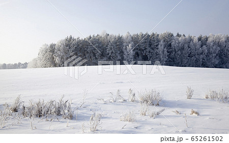 landscape in the winter time 65261502