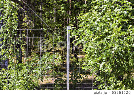 metal fences 65261526