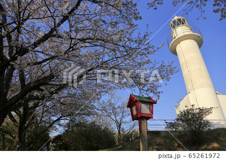 荒尾市 四ツ山神社 桜、 荒尾市 四ツ山神社 桜、 65261972