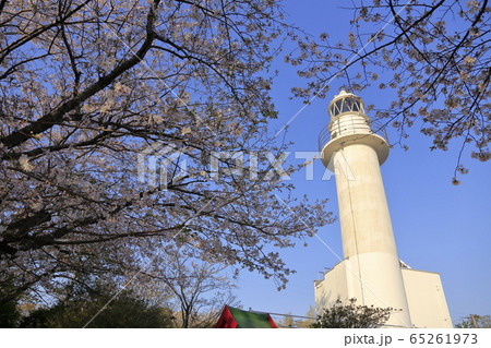 荒尾市 四ツ山神社 桜、 荒尾市 四ツ山神社 桜、 65261973