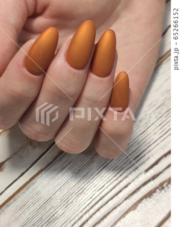 fashion manicure of nails on a beautiful 65266152