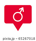 Illustration of male gender symbol. Man's symbol. Isolated in white background. 65267018