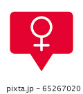 Illustration of female gender symbol. Woman's symbol. Isolated in white background. 65267020