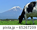裾野の景色 65267209