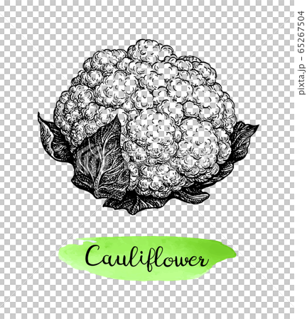 How to draw Cauliflower / Cauliflower drawing - YouTube