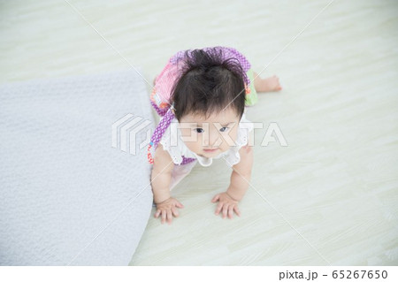 ハイハイする赤ちゃん ハイハイする赤ちゃん 65267650