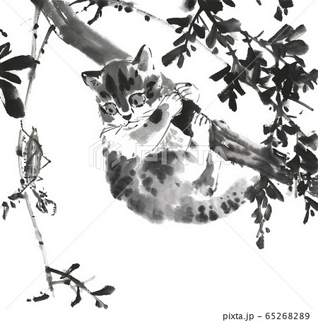 猫とカマキリ 水墨画のイラスト素材 [65268289] - PIXTA