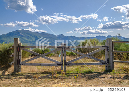 Open gate in a field in Argentina, tranquera Argentine 65269103