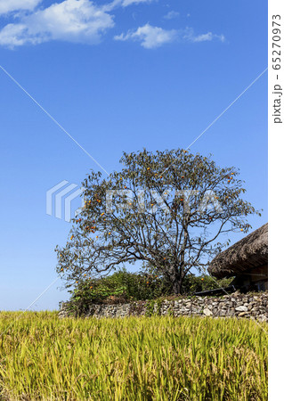 風景 ウェアムリ 私的 65270973