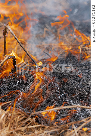 Fire flames burning dry grass in farming field. Motion blur from fire and high temperature 65271132