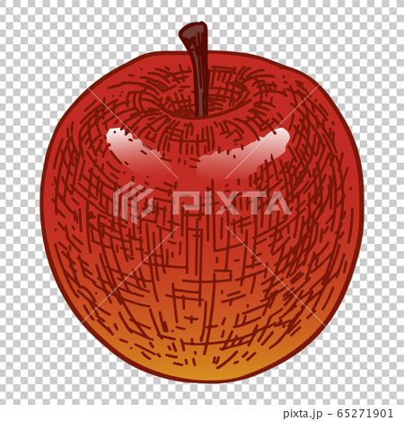 りんごの手描きイラストのイラスト素材