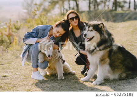 Two stylish girls in a spring field with a dog Two stylish girls in a spring field with a dog 65275188