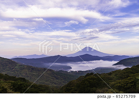 《神奈川県》箱根大観山から富士山 朝 《神奈川県》箱根大観山から富士山 朝 65275709