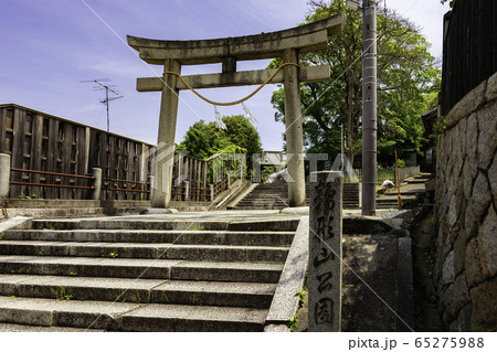 倉敷美観地区 阿智神社 岡山県倉敷 倉敷美観地区 阿智神社 岡山県倉敷 65275988