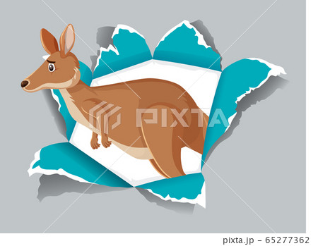 Background template design with wild kangaroo on 65277362