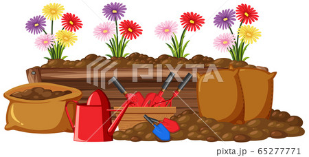 Colorful flowres in wooden box 65277771