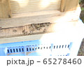 日本蜜蜂養蜂飼育 65278460
