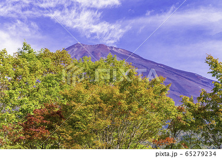 （静岡県）紅葉した西臼塚から望む、富士山 65279234