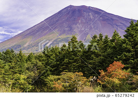 (静岡県)紅葉した西臼塚から望む、富士山 (静岡県)紅葉した西臼塚から望む、富士山 65279242