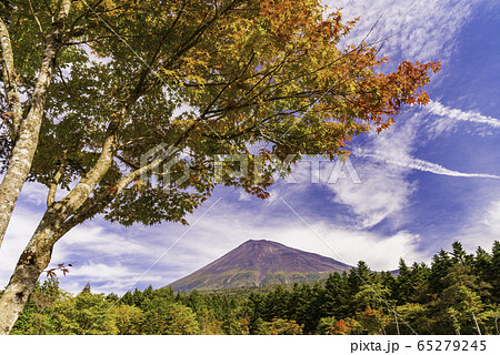 （静岡県）紅葉した西臼塚から望む、富士山 65279245
