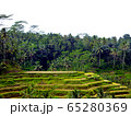 棚田 65280369