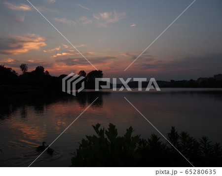 茨城県水戸市千波湖の夕景 茨城県水戸市千波湖の夕景 65280635