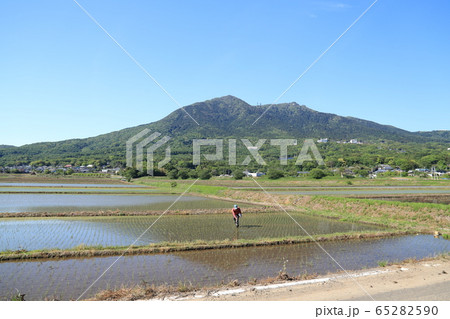 水田に映える筑波山 水田に映える筑波山 65282590