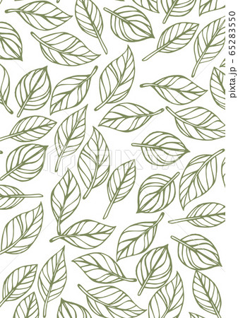 葉っぱ　手書き　イラスト 65283550