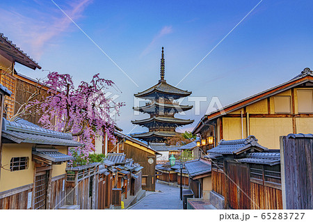 京都 春の八坂の塔（法観寺）　　　　 65283727
