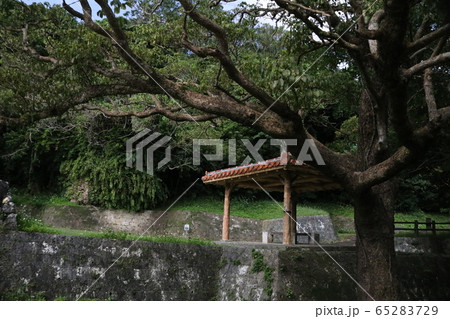 当山の石畳道 当山の石畳道 65283729