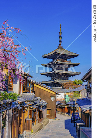 京都 春の八坂の塔(法観寺) 京都 春の八坂の塔(法観寺) 65283888