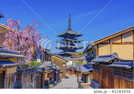 京都 春の八坂の塔(法観寺) 京都 春の八坂の塔(法観寺) 65283936