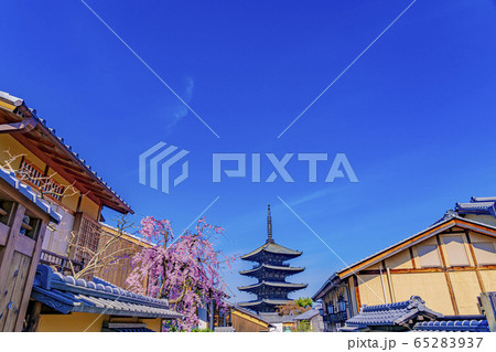 京都 春の八坂の塔（法観寺）　　 65283937