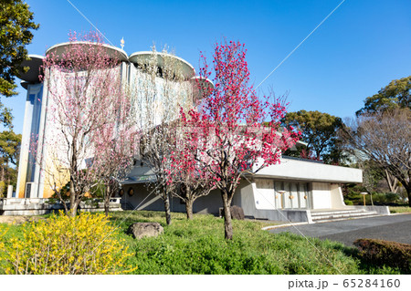 皇居東御苑の桃華楽堂 65284160
