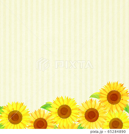 背景素材_ひまわり 65284890