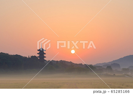 岡山_レンゲ畑と国分寺五重塔の絶景 65285166