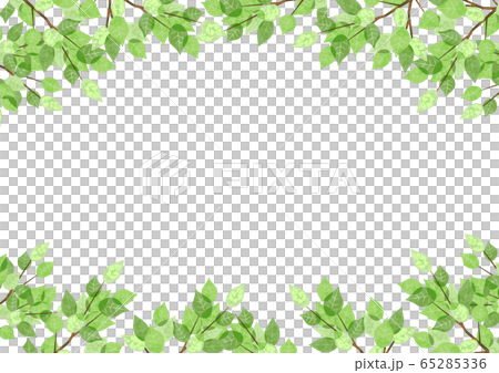手描き水彩　新緑　横向き 65285336